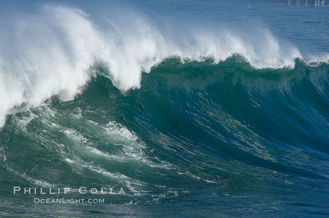 Big surf and waves. La Jolla Cove, California, USA, natural history stock photograph, photo id 14827