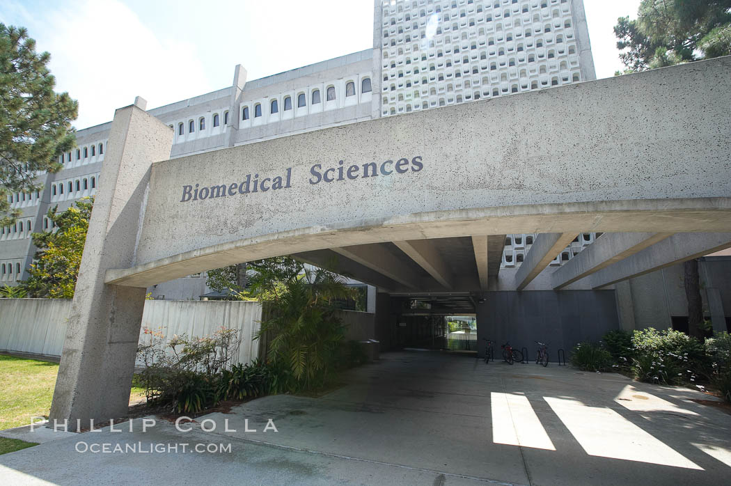 biomedical sciences phd ucsd