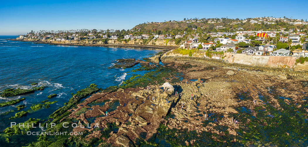 Bird Rock Reef Exposed at Extreme Low Tide, La Jolla, California. USA, natural history stock photograph, photo id 38010