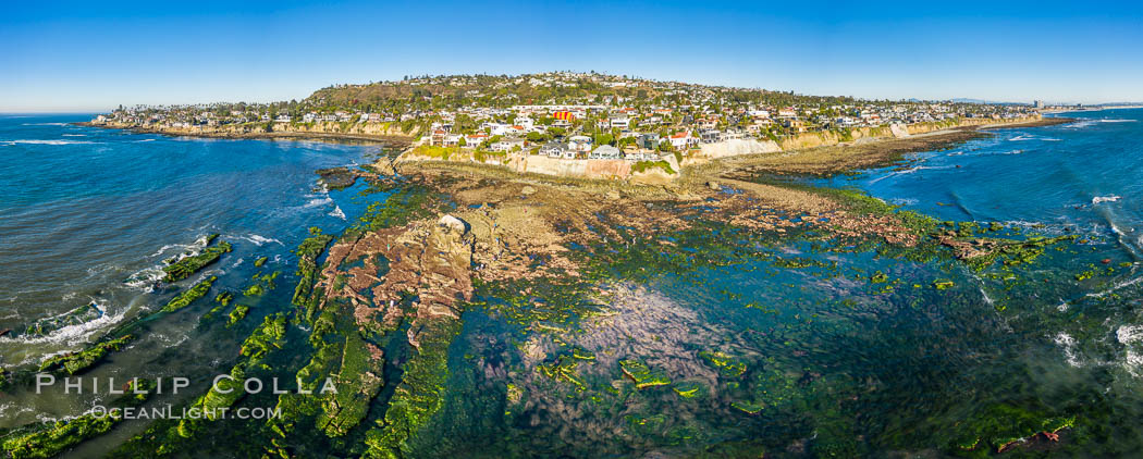 Bird Rock Reef Exposed at Extreme Low Tide, La Jolla, California