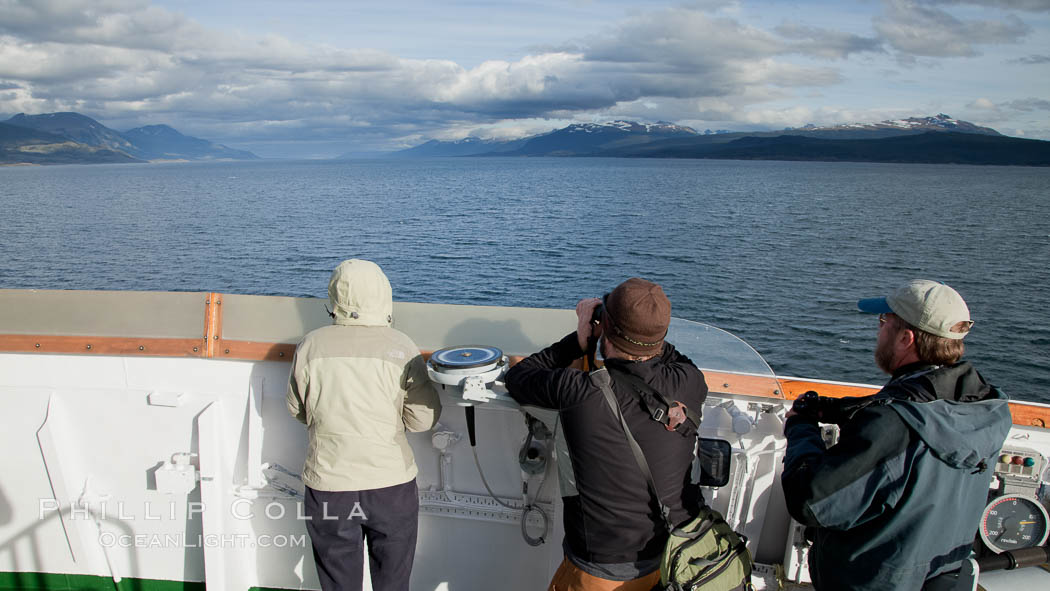 Bird watching, birding from the tallest deck of the M/V Polar Star as it sails south through the Beagle Channel. Ushuaia, Tierra del Fuego, Argentina, natural history stock photograph, photo id 23621