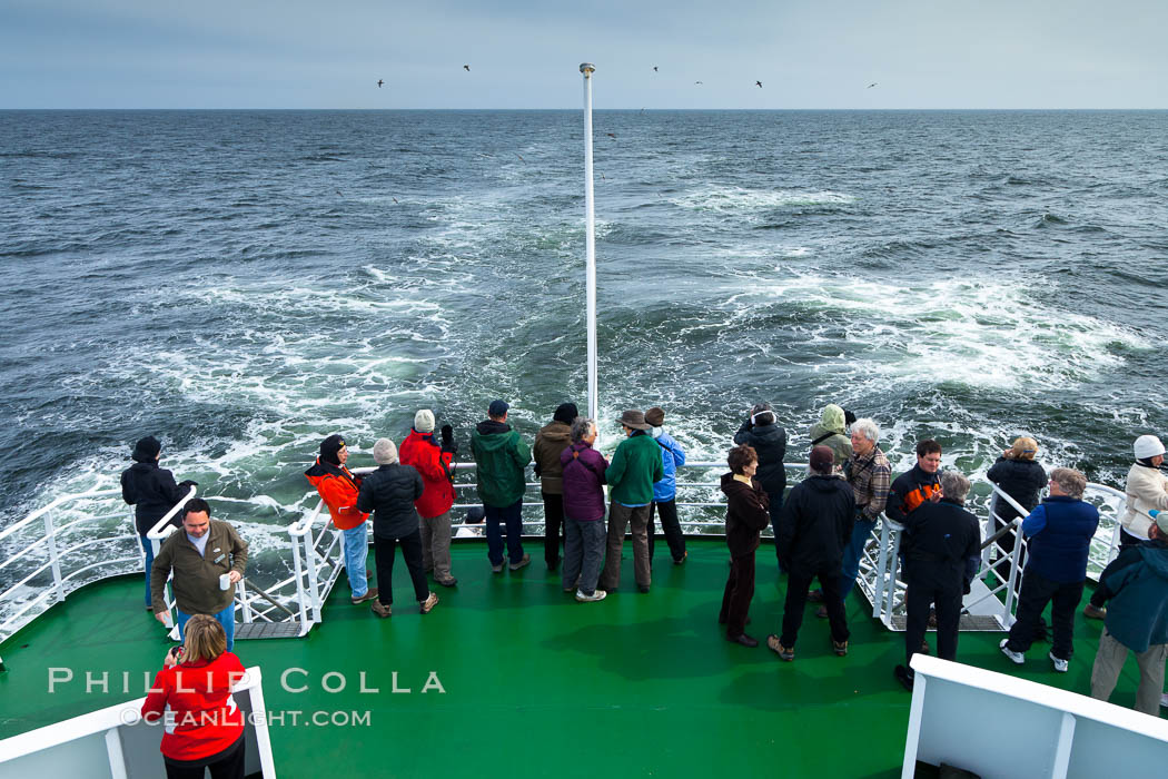 Birdwatching, on the stern deck of the ship M/V Polar Star.  While en route between remote ocean islands such as the Falklands, South Georgia, South Orkneys and South Shetlands, seabirds often fly alongside the boat. Falkland Islands, United Kingdom, natural history stock photograph, photo id 23711