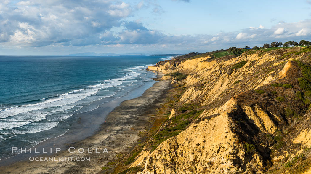 Black's Beach and Sandstone cliffs at Torrey Pines State Park, viewed from high above the Pacific Ocean near the Indian Trail. La Jolla, California, USA, natural history stock photograph, photo id 36734