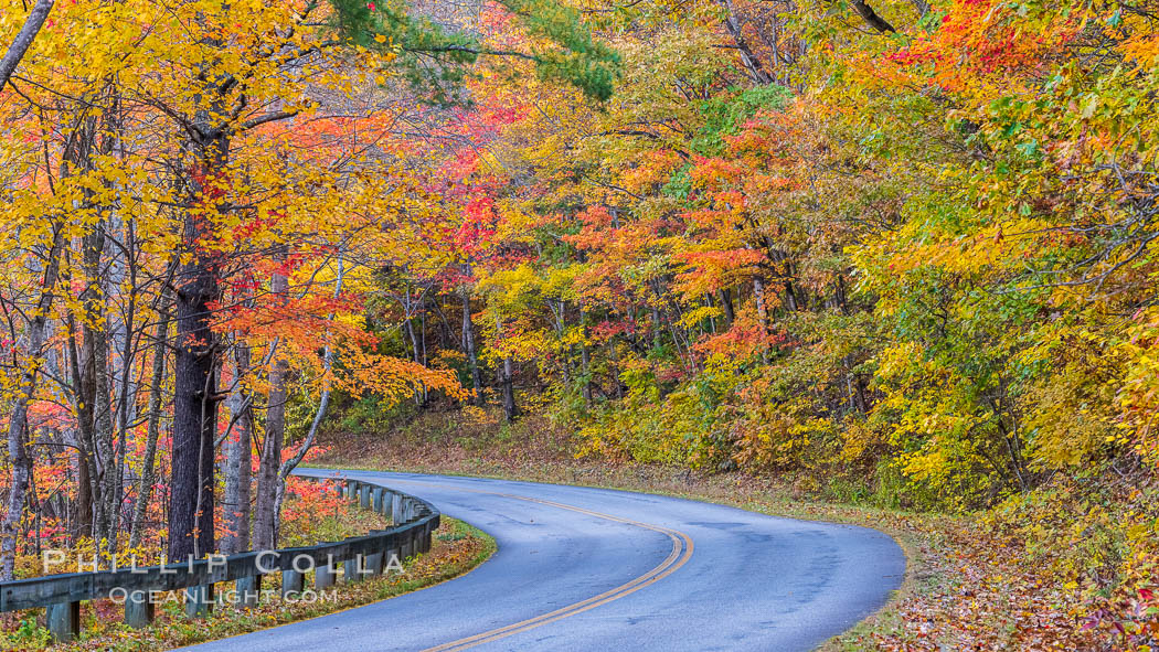 Blue Ridge Parkway Fall Colors, Asheville, North Carolina. USA, natural history stock photograph, photo id 34650