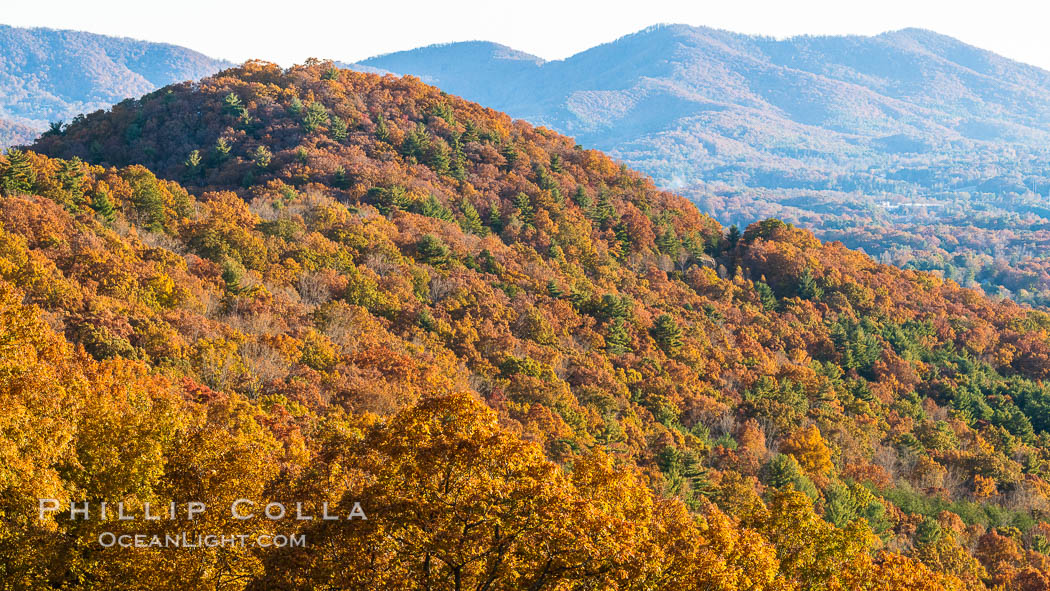 Blue Ridge Parkway Fall Colors, Asheville, North Carolina. USA, natural history stock photograph, photo id 34651