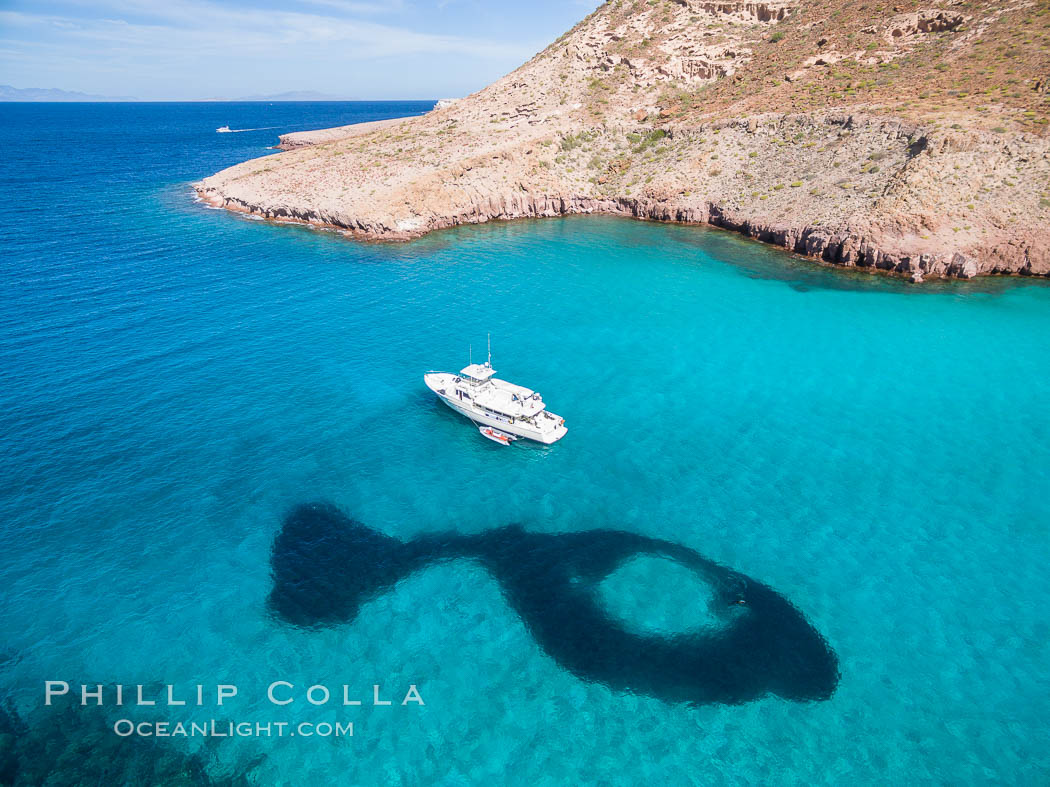 Boat Ambar and School of Fish, Ensenada el Embudo, Isla Partida. aerial photo. Baja California, Mexico, natural history stock photograph, photo id 32460