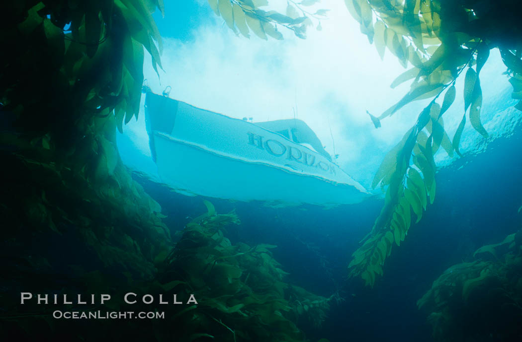 Boat Horizon anchored in kelp forest. San Clemente Island, California, USA, natural history stock photograph, photo id 06278