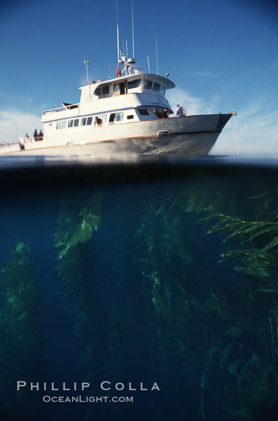 Boat Horizon anchored in kelp forest. San Clemente Island, California, USA, natural history stock photograph, photo id 05639