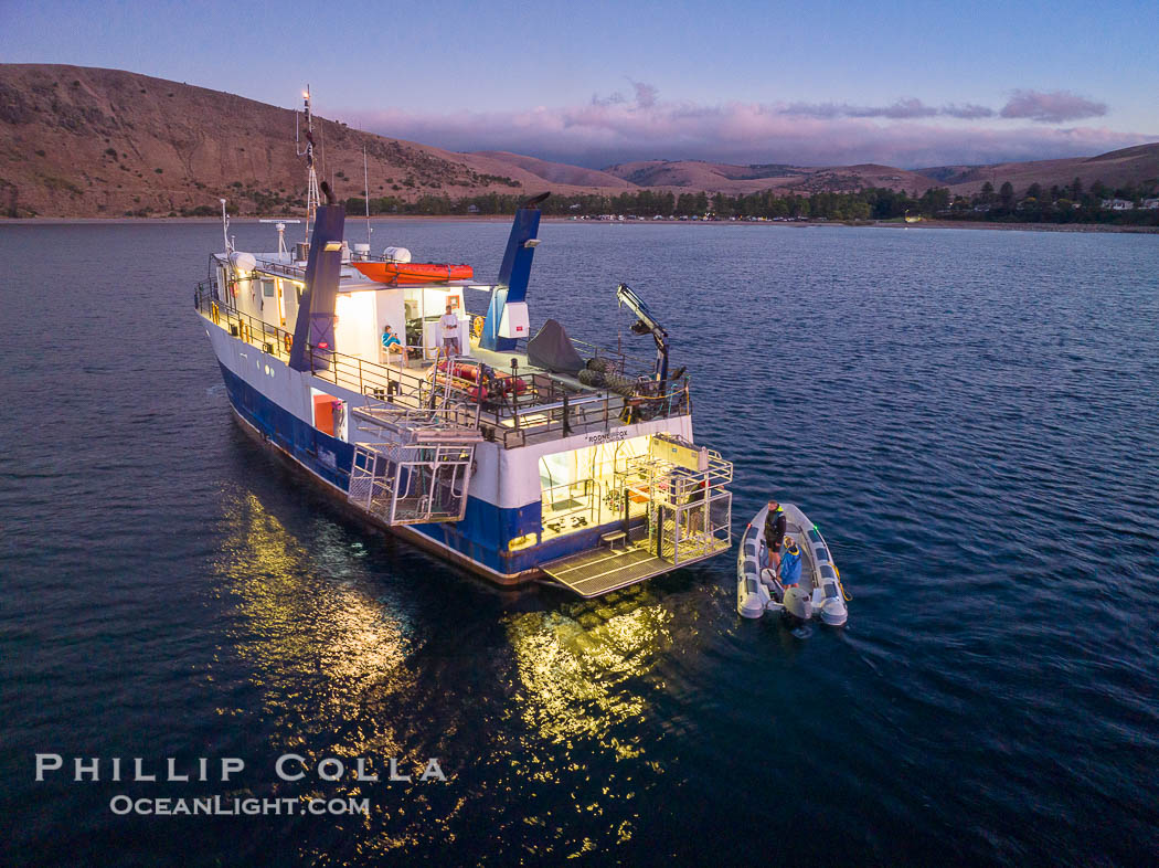 Boat M/V Rodney Fox at Rapid Bay Jetty, South Australia., natural history stock photograph, photo id 39358