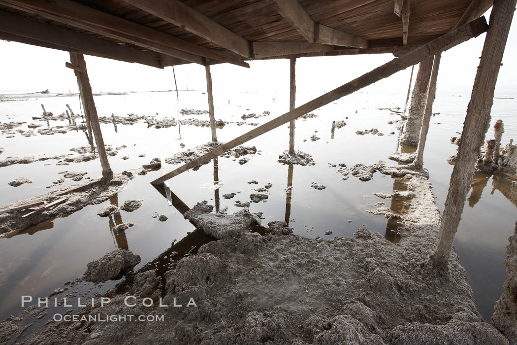 Bombay Beach, lies alongside and below the flood level of the Salton Sea, so that it floods occasionally when the Salton Sea rises.  A part of Bombay Beach is composed of derelict old trailer homes, shacks and wharfs, slowly sinking in the mud and salt. Imperial County, California, USA, natural history stock photograph, photo id 22492