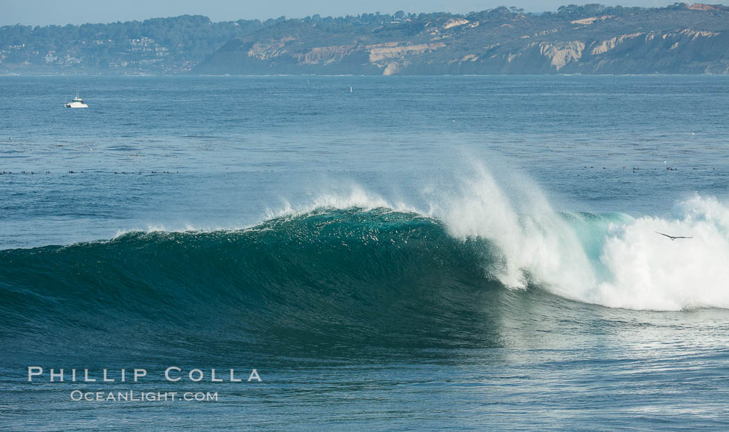 Boomer Beach wave, winter swell, La Jolla, Black's Beach and Torrey Pines in the distance. California, USA, natural history stock photograph, photo id 30190