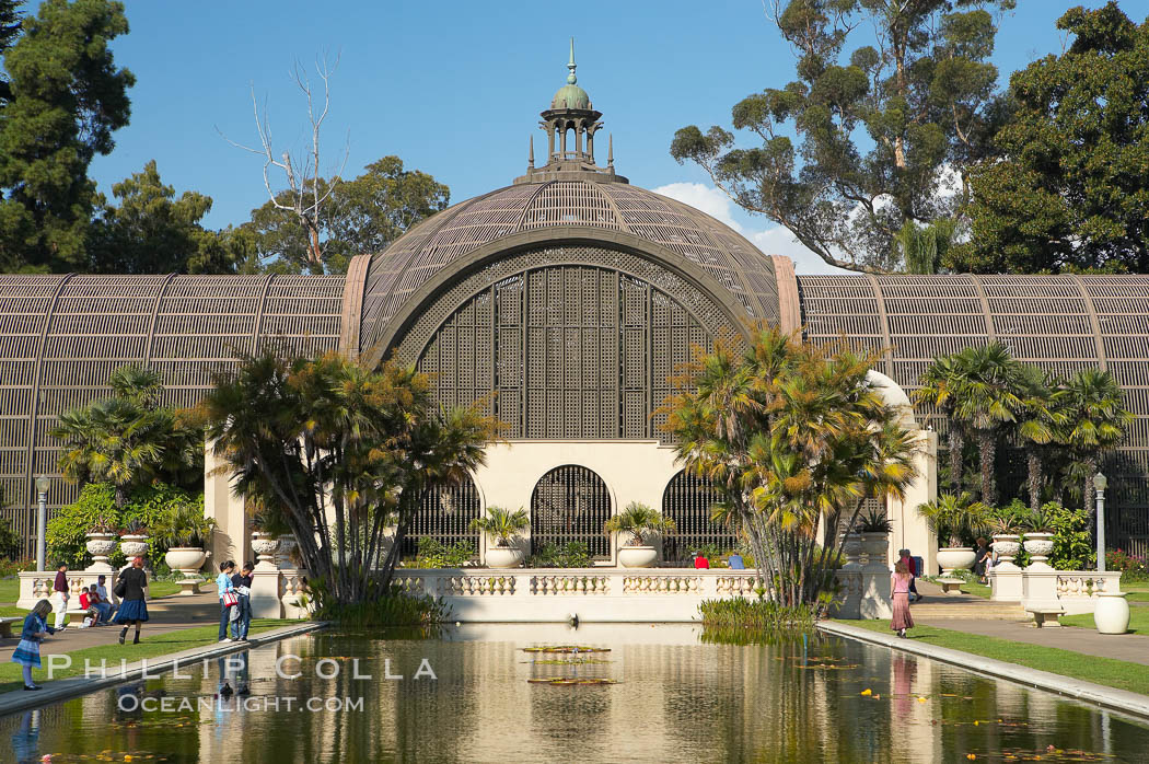 The Botanical Building in Balboa Park, San Diego.  The Botanical Building, at 250 feet long by 75 feet wide and 60 feet tall, was the largest wood lath structure in the world when it was built in 1915 for the Panama-California Exposition. The Botanical Building, located on the Prado, west of the Museum of Art, contains about 2,100 permanent tropical plants along with changing seasonal flowers. The Lily Pond, just south of the Botanical Building, is an eloquent example of the use of reflecting pools to enhance architecture. The 193 by 43 foot pond and smaller companion pool were originally referred to as Las Lagunas de las Flores (The Lakes of the Flowers) and were designed as aquatic gardens. The pools contain exotic water lilies and lotus which bloom spring through fall.  Balboa Park, San Diego. USA, natural history stock photograph, photo id 14578