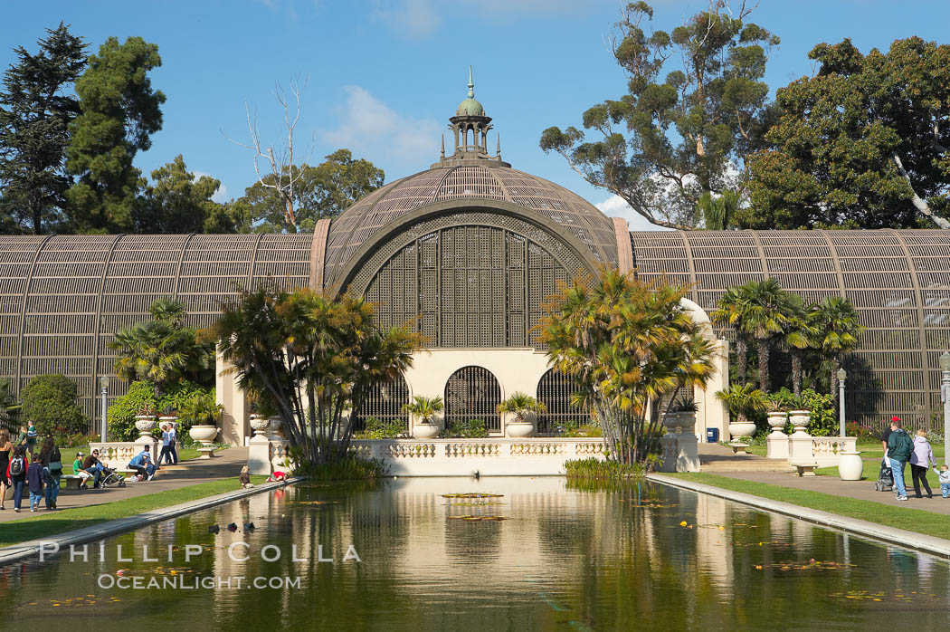 The Botanical Building in Balboa Park, San Diego.  The Botanical Building, at 250 feet long by 75 feet wide and 60 feet tall, was the largest wood lath structure in the world when it was built in 1915 for the Panama-California Exposition. The Botanical Building, located on the Prado, west of the Museum of Art, contains about 2,100 permanent tropical plants along with changing seasonal flowers. The Lily Pond, just south of the Botanical Building, is an eloquent example of the use of reflecting pools to enhance architecture. The 193 by 43 foot pond and smaller companion pool were originally referred to as Las Lagunas de las Flores (The Lakes of the Flowers) and were designed as aquatic gardens. The pools contain exotic water lilies and lotus which bloom spring through fall.  Balboa Park, San Diego. USA, natural history stock photograph, photo id 14576