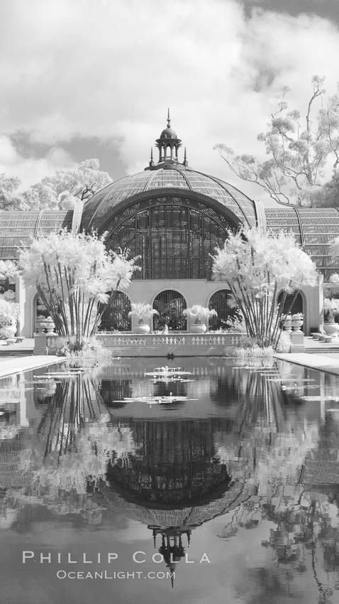 The Botanical Building in Balboa Park, San Diego. The Botanical Building, at 250 feet long by 75 feet wide and 60 feet tall, was the largest wood lath structure in the world when it was built in 1915 for the Panama-California Exposition. The Botanical Building, located on the Prado, west of the Museum of Art, contains about 2,100 permanent tropical plants along with changing seasonal flowers. The Lily Pond, just south of the Botanical Building, is an eloquent example of the use of reflecting pools to enhance architecture. The 193 by 43 foot pond and smaller companion pool were originally referred to as Las Lagunas de las Flores (The Lakes of the Flowers) and were designed as aquatic gardens. The pools contain exotic water lilies and lotus which bloom spring through fall. USA, natural history stock photograph, photo id 23098