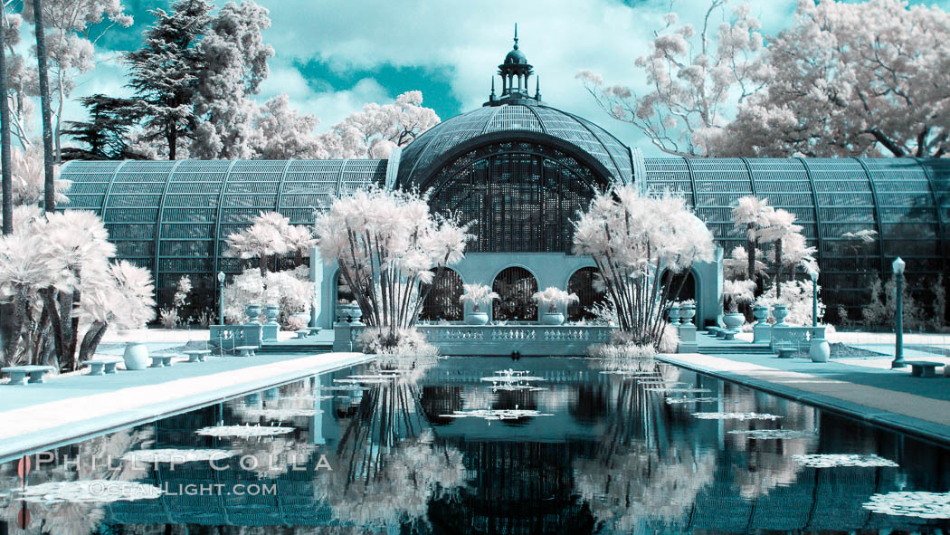 The Botanical Building in Balboa Park, San Diego. The Botanical Building, at 250 feet long by 75 feet wide and 60 feet tall, was the largest wood lath structure in the world when it was built in 1915 for the Panama-California Exposition. The Botanical Building, located on the Prado, west of the Museum of Art, contains about 2,100 permanent tropical plants along with changing seasonal flowers. The Lily Pond, just south of the Botanical Building, is an eloquent example of the use of reflecting pools to enhance architecture. The 193 by 43 foot pond and smaller companion pool were originally referred to as Las Lagunas de las Flores (The Lakes of the Flowers) and were designed as aquatic gardens. The pools contain exotic water lilies and lotus which bloom spring through fall. USA, natural history stock photograph, photo id 23096