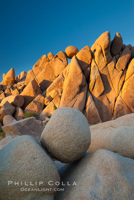 Image 26720, Boulders and sunset in Joshua Tree National Park.  The warm sunlight gently lights unusual boulder formations at Jumbo Rocks in Joshua Tree National Park, California. USA, Phillip Colla, all rights reserved worldwide. Keywords: boulder, california, desert, dusk, evening, joshua tree, joshua tree national park, landscape, national park, outdoors, outside, rock, scene, scenery, scenic, southwest, sunset.