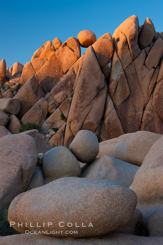 Boulders and sunset in Joshua Tree National Park.  The warm sunlight gently lights unusual boulder formations at Jumbo Rocks in Joshua Tree National Park, California. USA, natural history stock photograph, photo id 26744