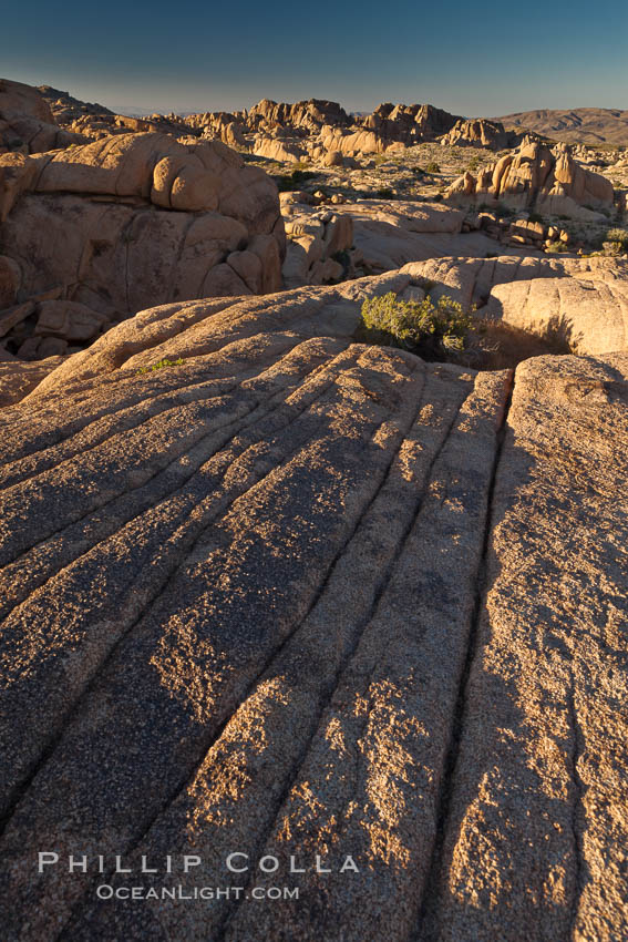 Boulders and sunset in Joshua Tree National Park.  The warm sunlight gently lights unusual boulder formations at Jumbo Rocks in Joshua Tree National Park, California. USA, natural history stock photograph, photo id 26753