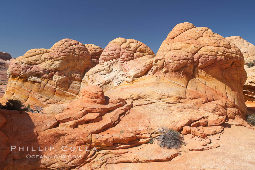 Brain rocks.  Sandstone is curiously eroded through the forces water and wind acting over eons.  Cracks and joints arise when water freezes and expands repeatedly, braking apart the soft sandstone. North Coyote Buttes, Paria Canyon-Vermilion Cliffs Wilderness, Arizona, USA, natural history stock photograph, photo id 20750