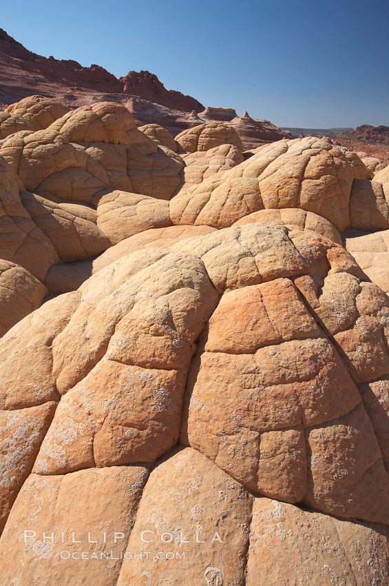 Brain rocks.  Sandstone is curiously eroded through the forces water and wind acting over eons.  Cracks and joints arise when water freezes and expands repeatedly, braking apart the soft sandstone. North Coyote Buttes, Paria Canyon-Vermilion Cliffs Wilderness, Arizona, USA, natural history stock photograph, photo id 20754