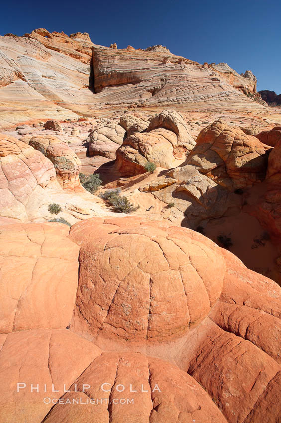 Brain rocks.  Sandstone is curiously eroded through the forces water and wind acting over eons.  Cracks and joints arise when water freezes and expands repeatedly, braking apart the soft sandstone. North Coyote Buttes, Paria Canyon-Vermilion Cliffs Wilderness, Arizona, USA, natural history stock photograph, photo id 20766