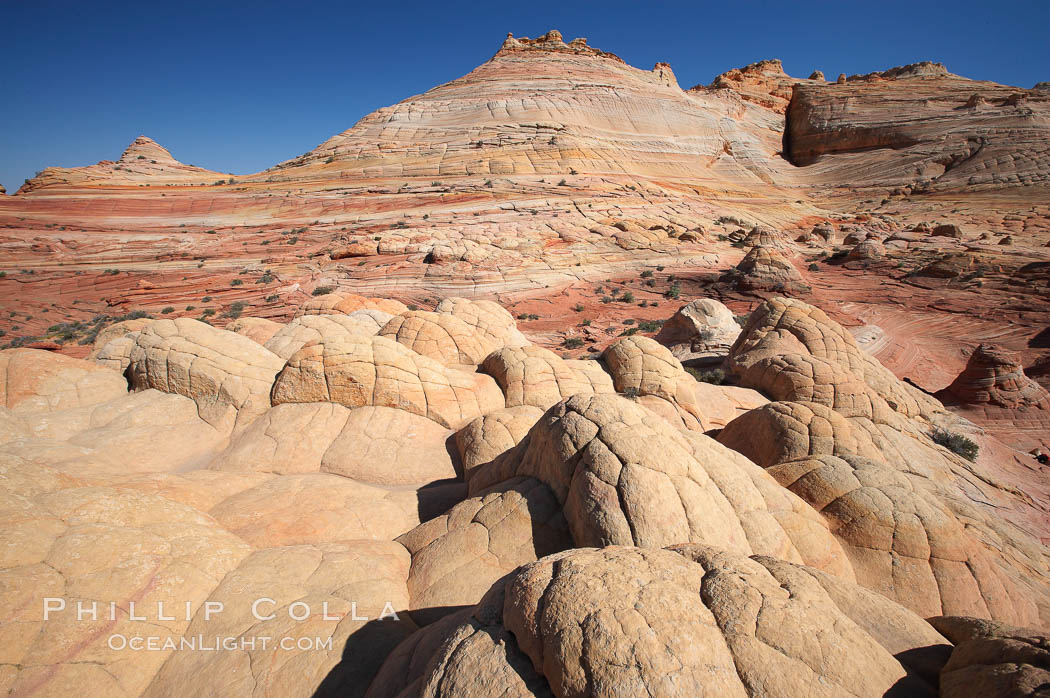 Brain rocks.  Sandstone is curiously eroded through the forces water and wind acting over eons.  Cracks and joints arise when water freezes and expands repeatedly, braking apart the soft sandstone. North Coyote Buttes, Paria Canyon-Vermilion Cliffs Wilderness, Arizona, USA, natural history stock photograph, photo id 20752