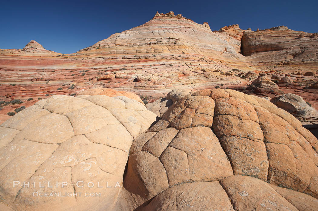 Brain rocks.  Sandstone is curiously eroded through the forces water and wind acting over eons.  Cracks and joints arise when water freezes and expands repeatedly, braking apart the soft sandstone. North Coyote Buttes, Paria Canyon-Vermilion Cliffs Wilderness, Arizona, USA, natural history stock photograph, photo id 20764