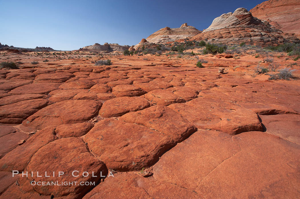 Geometric joints and cracks form in eroding sandstone. North Coyote Buttes, Paria Canyon-Vermilion Cliffs Wilderness, Arizona, USA, natural history stock photograph, photo id 20663