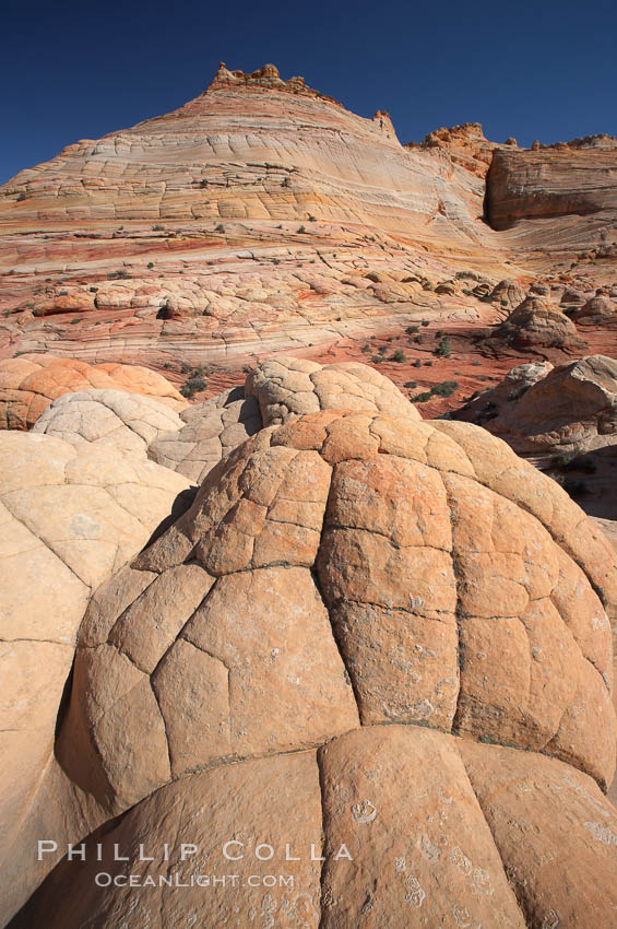 Brain rocks.  Sandstone is curiously eroded through the forces water and wind acting over eons.  Cracks and joints arise when water freezes and expands repeatedly, braking apart the soft sandstone. North Coyote Buttes, Paria Canyon-Vermilion Cliffs Wilderness, Arizona, USA, natural history stock photograph, photo id 20751