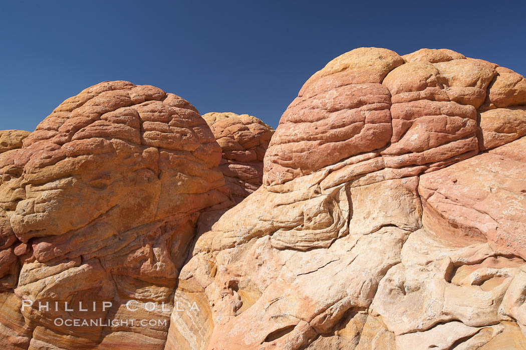 Brain rocks.  Sandstone is curiously eroded through the forces water and wind acting over eons.  Cracks and joints arise when water freezes and expands repeatedly, braking apart the soft sandstone. North Coyote Buttes, Paria Canyon-Vermilion Cliffs Wilderness, Arizona, USA, natural history stock photograph, photo id 20765