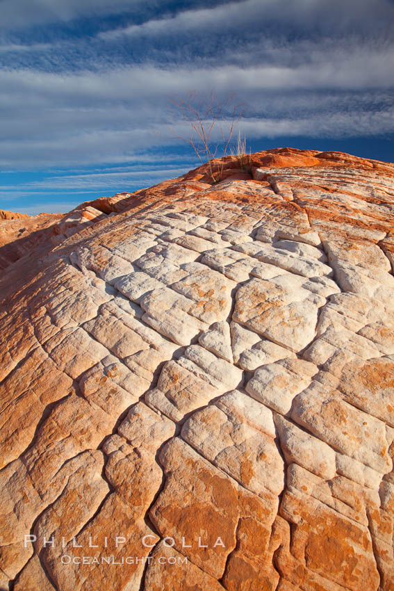 Brain rocks, clouds and sky. Valley of Fire State Park, Nevada, USA, natural history stock photograph, photo id 26495