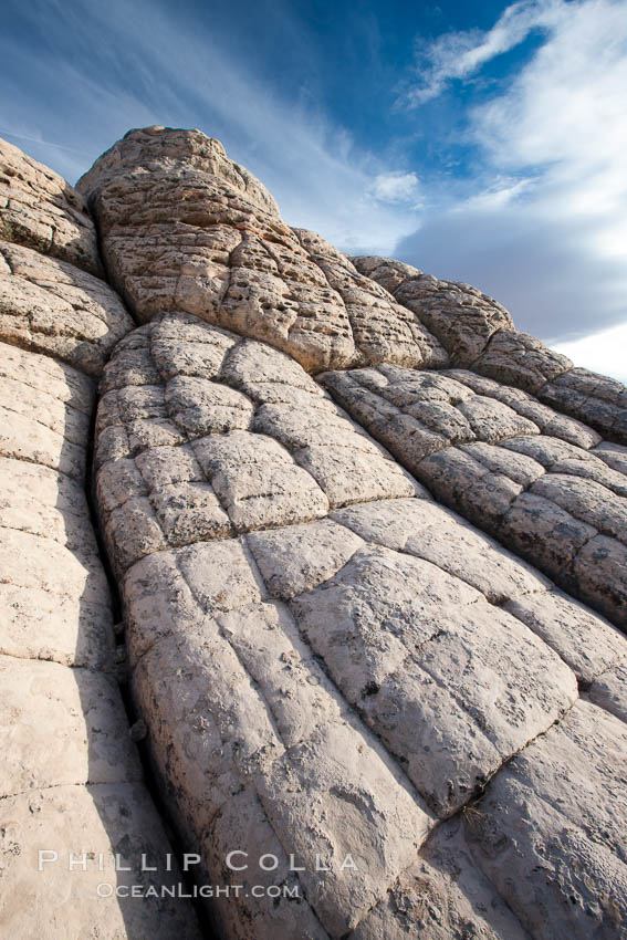 Brain Rocks at White Pocket. Vermillion Cliffs National Monument, Arizona, USA, natural history stock photograph, photo id 26638
