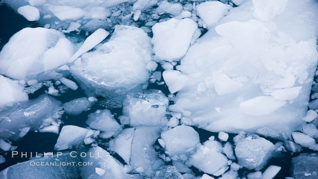 Brash ice floats on cold, dark Antarctic waters. Cierva Cove, Antarctic Peninsula, Antarctica, natural history stock photograph, photo id 25599