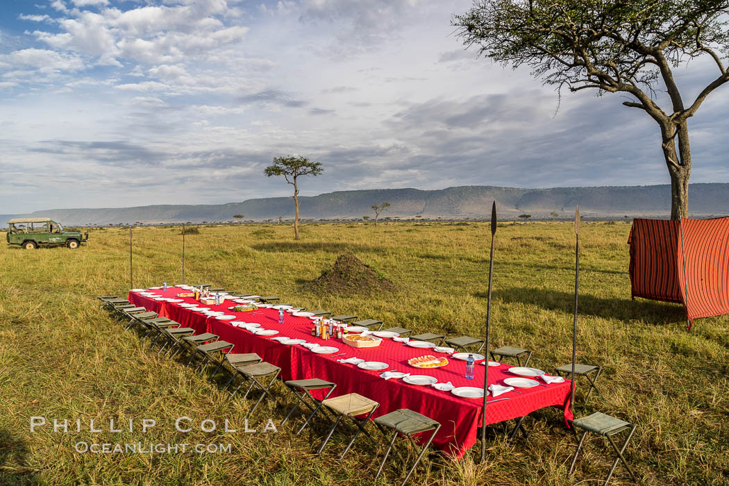Breakfast on the Maasai Mara Plains, Kenya. Maasai Mara National Reserve, natural history stock photograph, photo id 29828