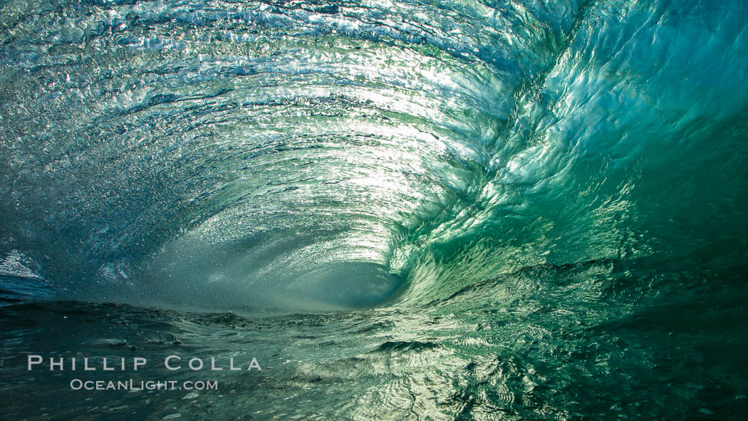 Breaking wave, morning, barrel shaped surf, California. The Wedge, Newport Beach, USA, natural history stock photograph, photo id 27986