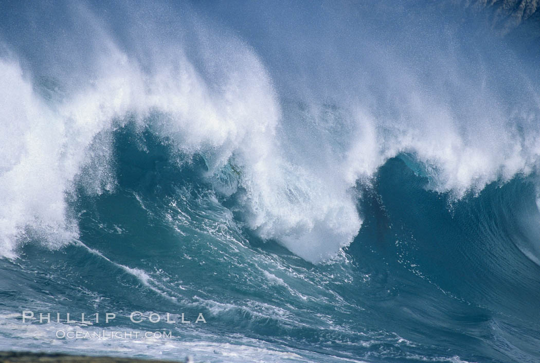 Breaking wave. La Jolla, California, USA, natural history stock photograph, photo id 05544