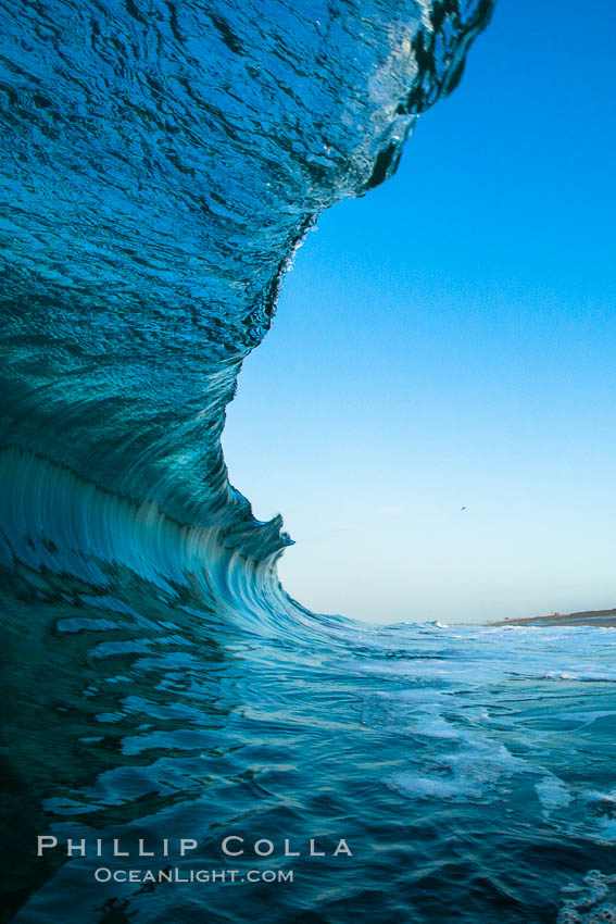 Breaking wave, morning, barrel shaped surf, California. The Wedge, Newport Beach, USA, natural history stock photograph, photo id 27980