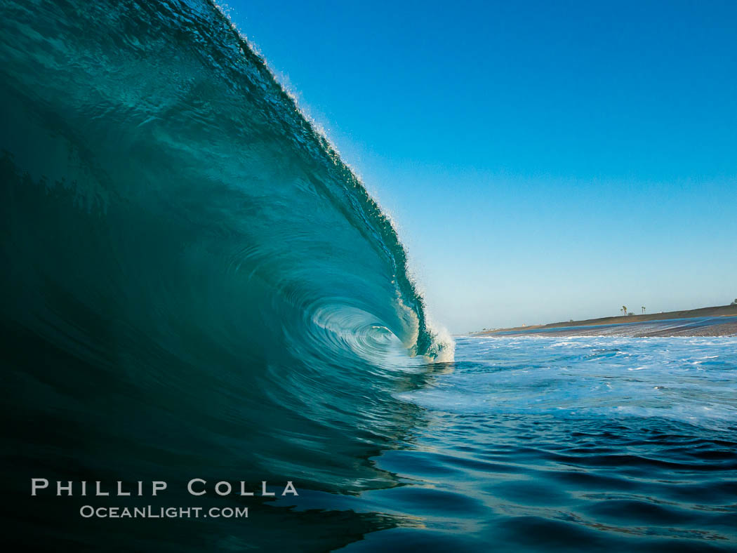 Breaking wave, morning, barrel shaped surf, California. The Wedge, Newport Beach, USA, natural history stock photograph, photo id 27984