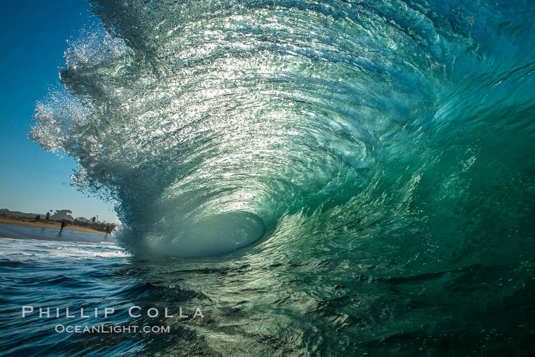 Breaking wave, morning, barrel shaped surf, California. The Wedge, Newport Beach, USA, natural history stock photograph, photo id 27985