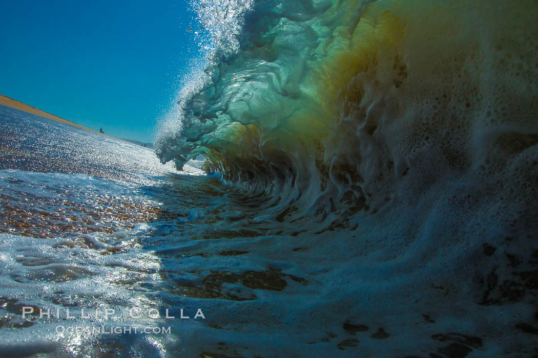 Breaking wave, morning, barrel shaped surf, California. The Wedge, Newport Beach, USA, natural history stock photograph, photo id 27989