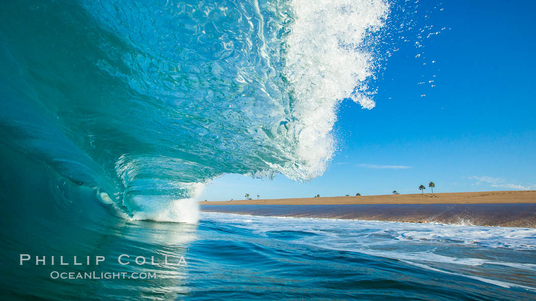 Breaking wave, morning, barrel shaped surf, California. USA, natural history stock photograph, photo id 28001