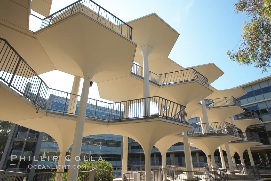 Breezeway between Bonner Hall and Mayer Hall, University of California San Diego (UCSD). University of California, San Diego, La Jolla, USA, natural history stock photograph, photo id 21216