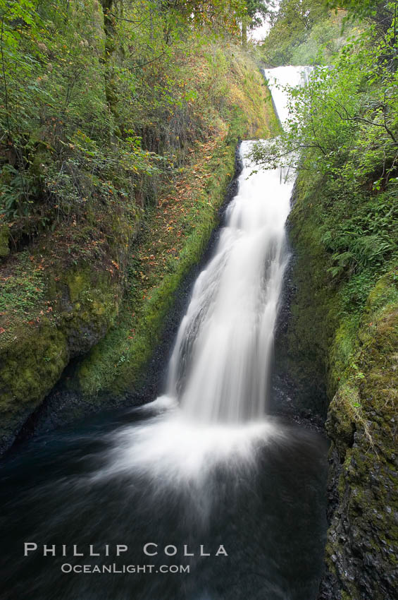 Bridal Veil Falls, a 140 foot fall in the Columbia River Gorge, is not to be confused with the more famous Bridalveil Falls in Yosemite National Park. Columbia River Gorge National Scenic Area, Oregon, USA, natural history stock photograph, photo id 19334