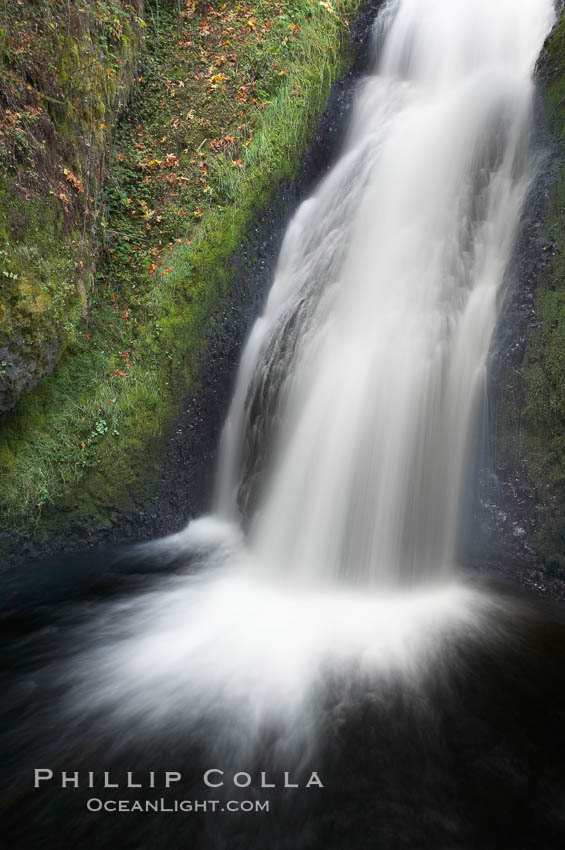 Bridal Veil Falls, a 140 foot fall in the Columbia River Gorge, is not to be confused with the more famous Bridalveil Falls in Yosemite National Park. Columbia River Gorge National Scenic Area, Oregon, USA, natural history stock photograph, photo id 19332