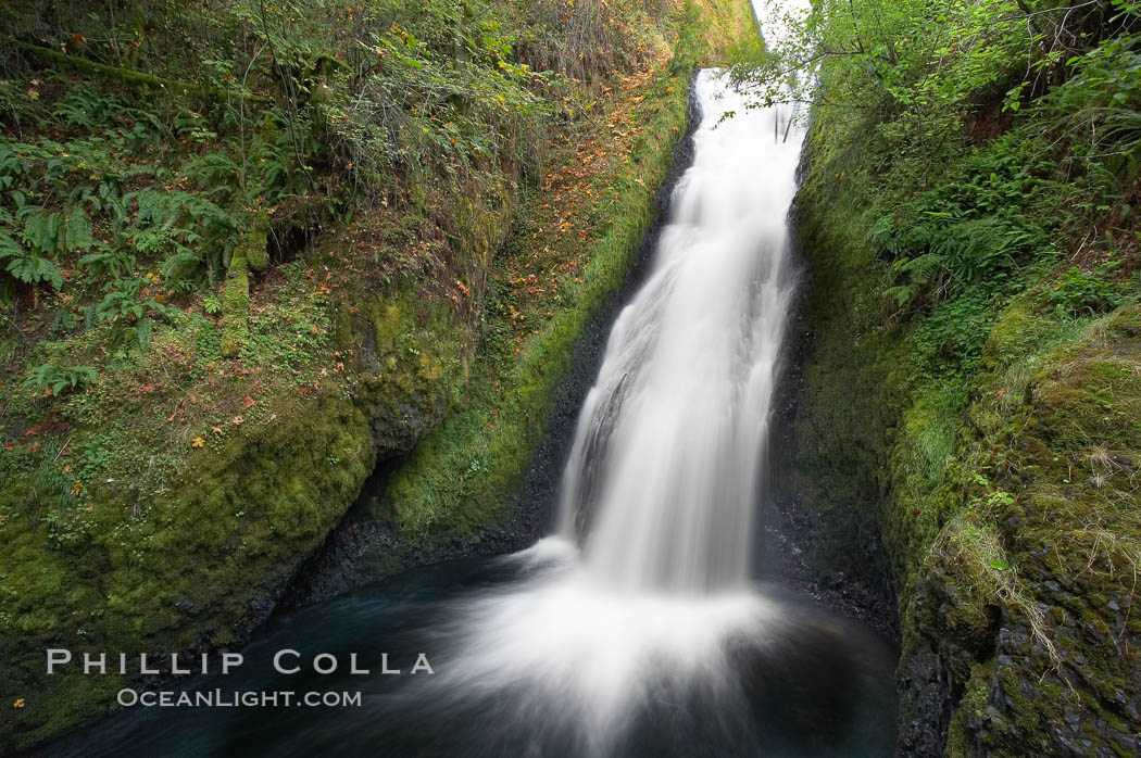 Bridal Veil Falls, a 140 foot fall in the Columbia River Gorge, is not to be confused with the more famous Bridalveil Falls in Yosemite National Park. Columbia River Gorge National Scenic Area, Oregon, USA, natural history stock photograph, photo id 19333