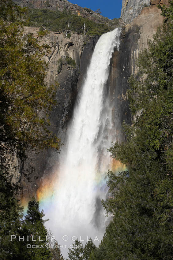 Bridalveil Falls with a rainbow forming in its spray, dropping 620 into Yosemite Valley, displaying peak water flow in spring months from deep snowpack and warm weather melt.  Yosemite Valley. Yosemite National Park, California, USA, natural history stock photograph, photo id 16162