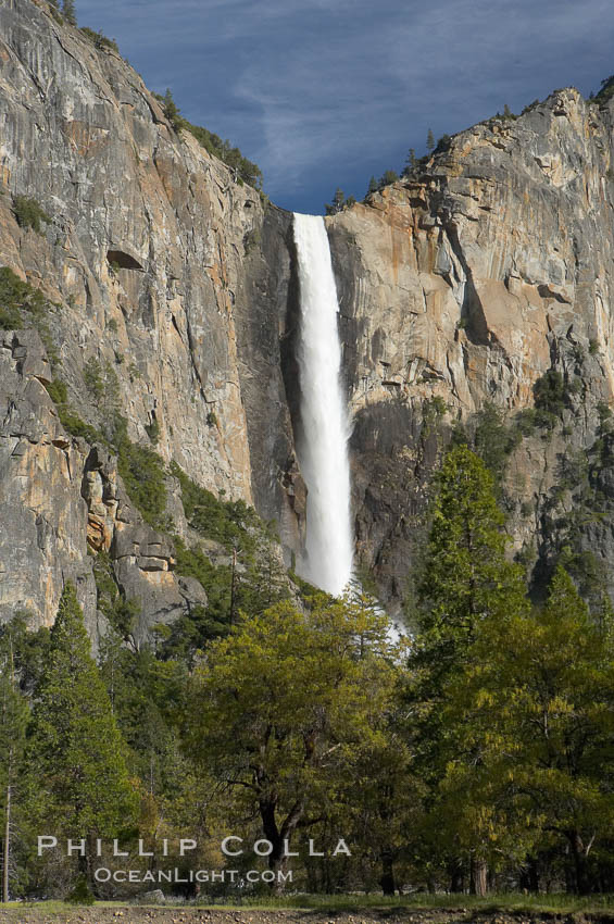 Bridalveil Falls drops 620 through a hanging valley, shown here at peak water flow in spring months from deep snowpack and warm weather melt.  Yosemite Valley. Yosemite National Park, California, USA, natural history stock photograph, photo id 16170