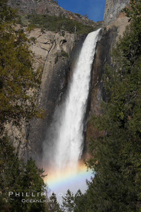 Bridalveil Falls with a rainbow forming in its spray, dropping 620 into Yosemite Valley, displaying peak water flow in spring months from deep snowpack and warm weather melt.  Yosemite Valley. Yosemite National Park, California, USA, natural history stock photograph, photo id 16168