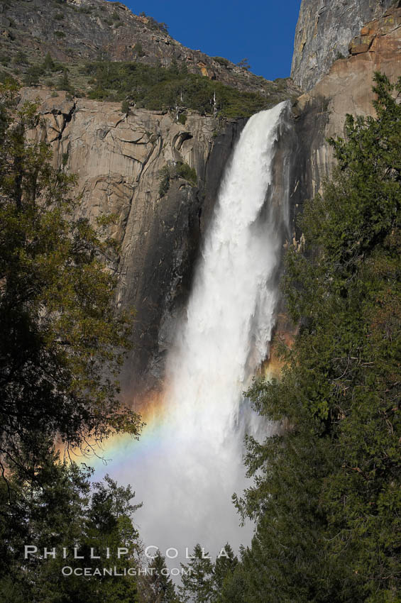 Bridalveil Falls with a rainbow forming in its spray, dropping 620 into Yosemite Valley, displaying peak water flow in spring months from deep snowpack and warm weather melt.  Yosemite Valley. Yosemite National Park, California, USA, natural history stock photograph, photo id 16176