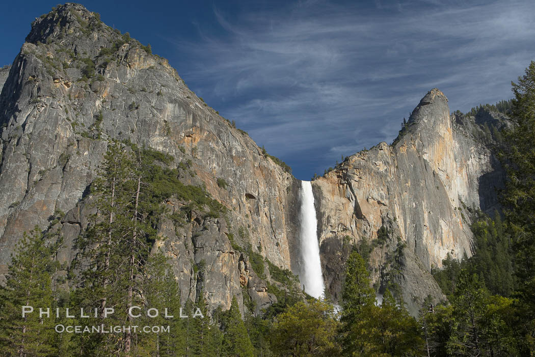 Bridalveil Falls drops 620 through a hanging valley, shown here at peak water flow in spring months from deep snowpack and warm weather melt.  Yosemite Valley. Yosemite National Park, California, USA, natural history stock photograph, photo id 16161